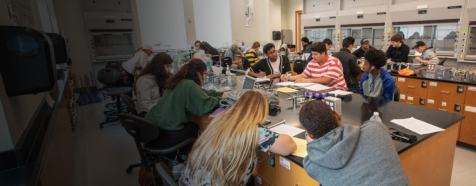 Students working together on group projects in a laboratory class